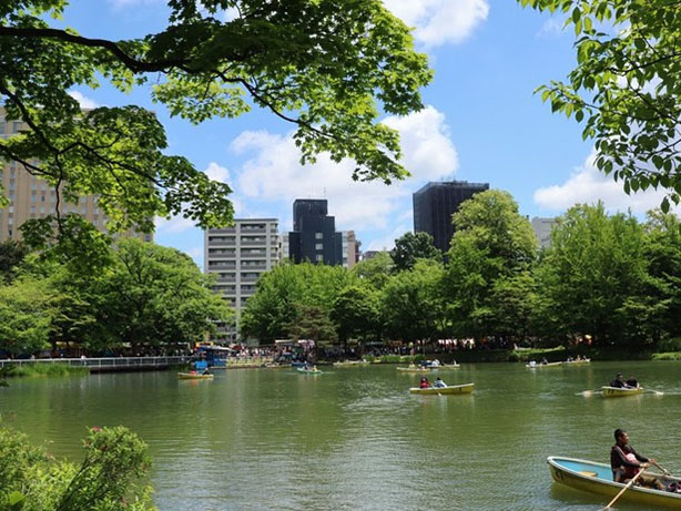 札幌の住みたい街 中島公園エリア 札幌の不動産はパワーステーション