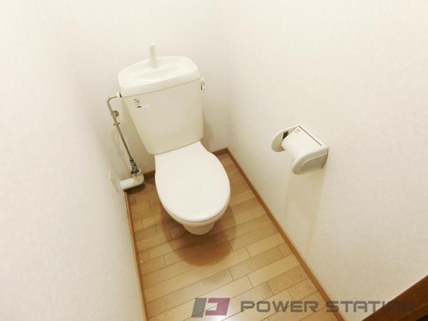 室内| 